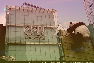 广州提升农村生活污水治理